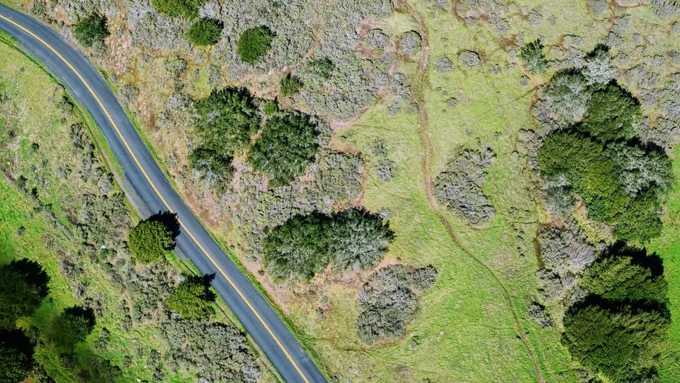 Large park in East Calgary.