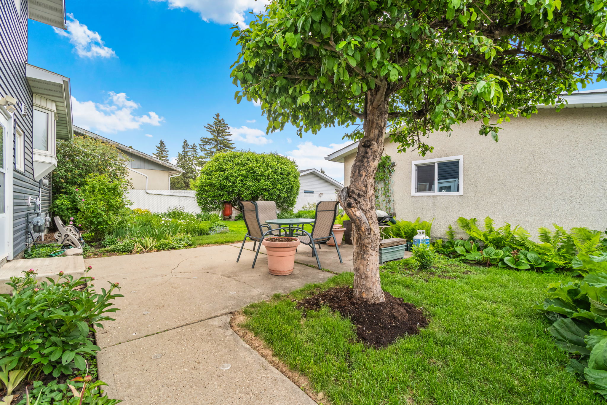 South-facing backyard and patio at 10715 33 Ave NW Edmonton