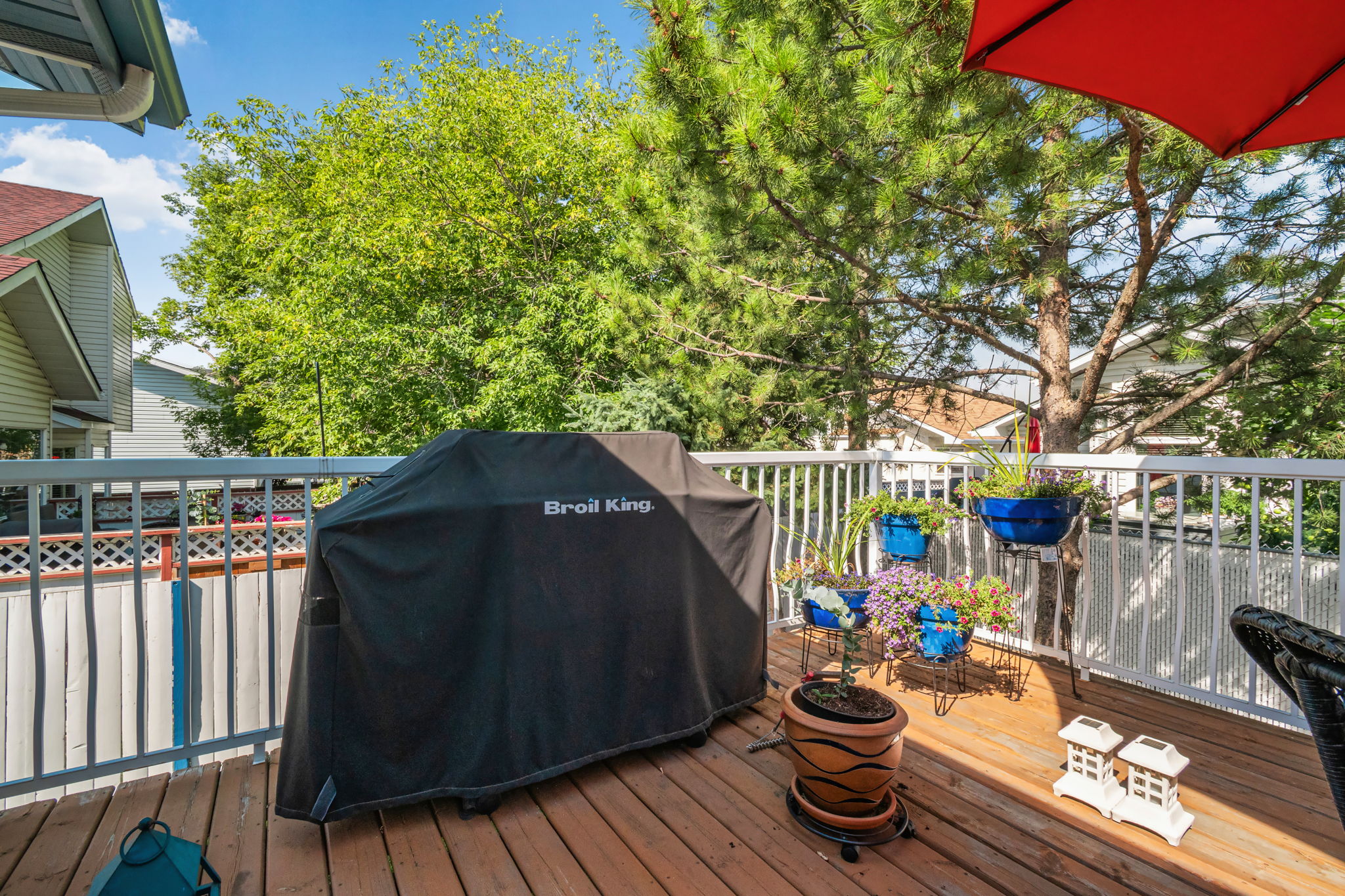 Outdoor space framed by mature trees at 18812 89 Ave NW Edmonton